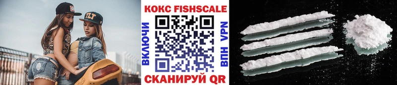 купить наркоту  Балаково  Кокаин Fish Scale 