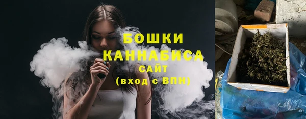 соль ск Горнозаводск
