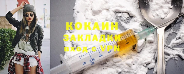 прущие грибы Вязники