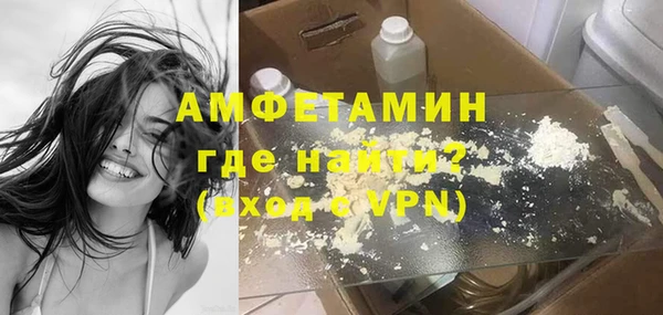прущие грибы Вязники