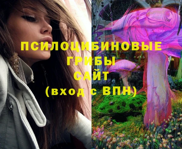 героин Вяземский