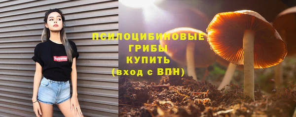 прущие грибы Вязники
