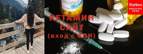 прущие грибы Вязники