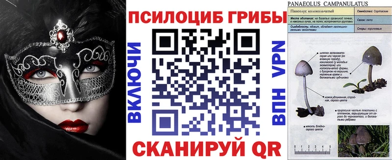 Галлюциногенные грибы прущие грибы  ОМГ ОМГ как зайти  Балаково 